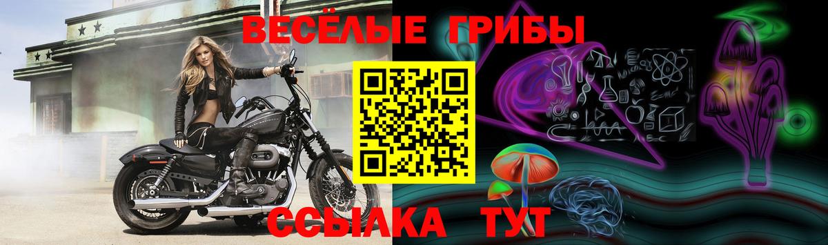 Лесной  как найти наркотики  Вход с VPN  Псилоцибиновые грибы Psilocybe 